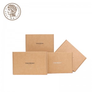E / F Sodina Custom miforitra Corrugated Paper Box