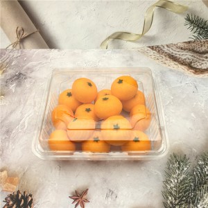 Disposable Plastic Blister Clamshell for Food Fruit Packaging