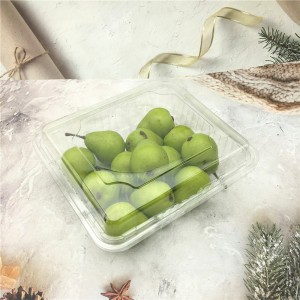 Transparent Disposable Plastic Blister Clamshell for Food Fruit Packaging