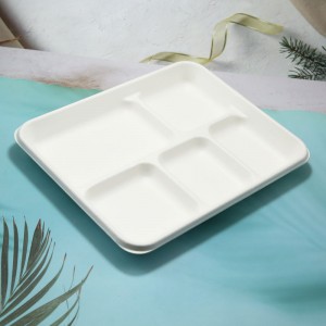 Disposable eco friendly sugarcane food plate