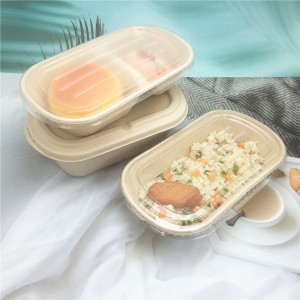 Disposable Tableware Eco-Friendly Sugarcane Bagasse Food Container with Lid