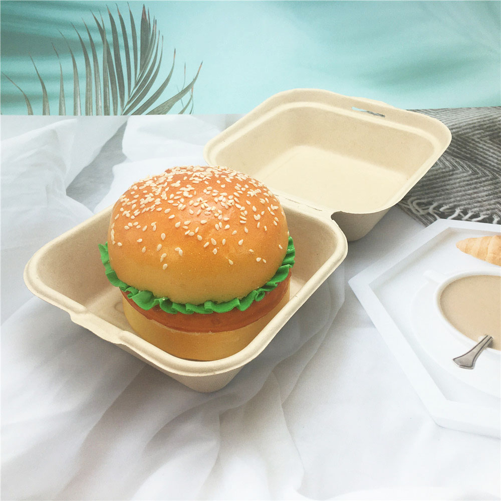 Disposable Eco-Friendly Sugarcane Bagasse Takeaway Food Container Featured Image
