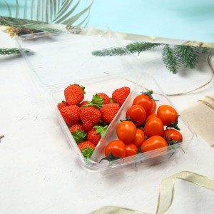 2 Compartments Plastic Clamshell for Food Fruit Packaging