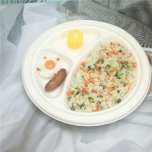 Disposable Eco-Friendly Take away Sugarcane Bagasse Food Packaging Container Plate