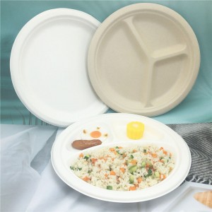 Biodegradable Eco-Friendly Sugarcane Bagasse Food Packaging Container Plate