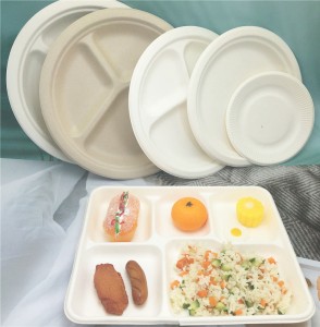 5 Compartment Biodegradable Eco-Friendly Sugarcane Bagasse Food Packaging Container Plate