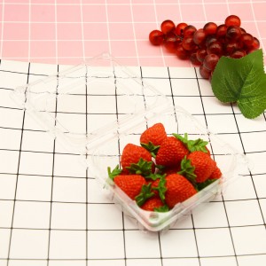 Customized plastic clear PET food fruit storage container