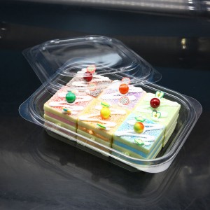 Customized Plastic Blister PET Cake Baking Food Container