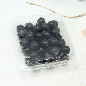 Plastic clear 125g blueberry clamshell packaging