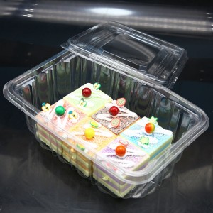 Rectangle plastic clear PET food storage for cake
