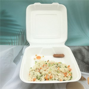 Biodegradable Sugarcane Bagasse Tableware Disposable Take out Food Container