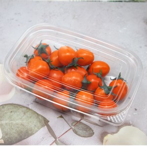 Plastic Blister PET clear container for Food Fruit Packaging