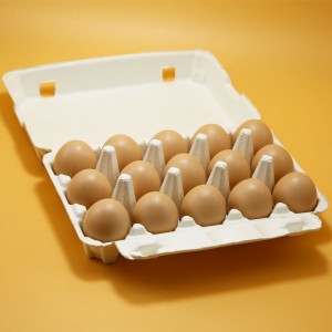 2021 China New Design Stackable Egg Storage - Disposable eco friend pulp paper chicken egg tray with lid  – Globalink
