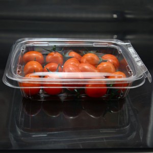 Fruit clamshell with Hinged Lid Airtight Plastic Food Container for Fruit/Vegetable/Meal