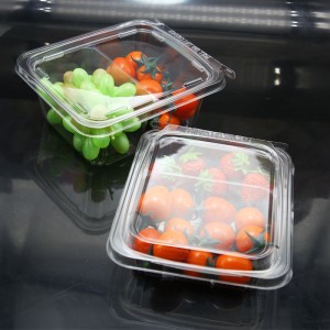 Plastic clear blister PET fruit clamshell packaging with hinged lid