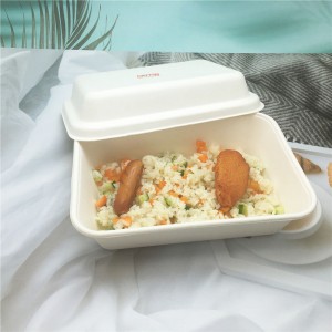 Disposable Eco-Friendly School Lunch Surgarcane food container Tray