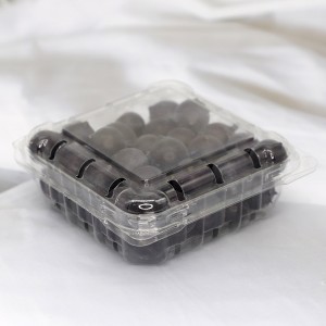 Plastic PET 125g blueberry clamshell disposable clear fruit packaging box