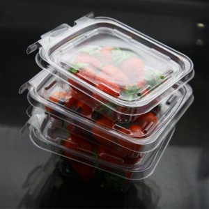 Disposable plastic safe seal tamper-evident hinged container for fruit