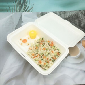 Disposable Eco-Friendly Sugarcane Bagasse Food Sushi Container