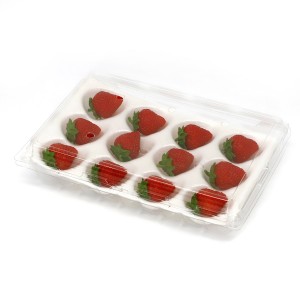 wholesale plastic PET strawberry clamshell with insert tray