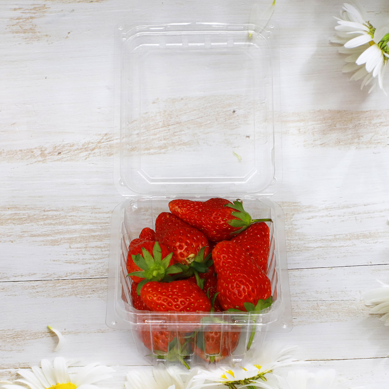250g plastic blister PET fruit clamshell with lid