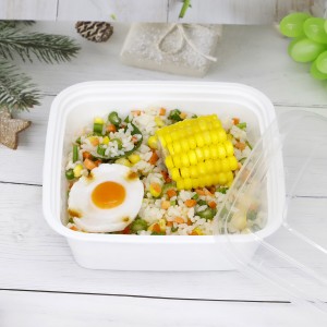 Square Disposable microwave PP food container