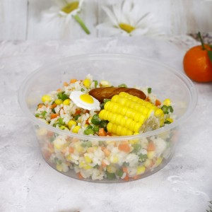 Round Plastic lunch food container with lid