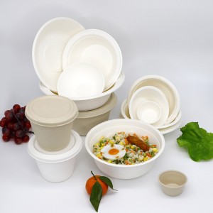Eco-Friendly Sugarcane Bagasse Food Bowl Container