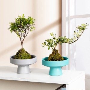 Pot Bunga Keramik Pot Bunga Hidroponik Non-keropos Kerajinan Sederhana Bergaya