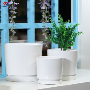 OEM Decoration Flower Pot For Succulent Livingroom