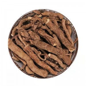 Qing Mu Xiang Hot Sale Herbal Medicine Dried birthwor root Aristolochia Debilis