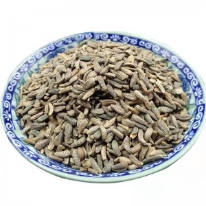 Niu Bang Zi High Quality Supplies Wholesale Bulk Natural Herb Medicine Fructus Arctii for Healthy Tea