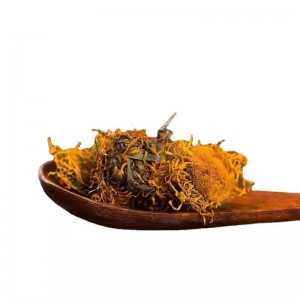 xuan fu hua bulk dried herb inula flos organic inula flower with good price