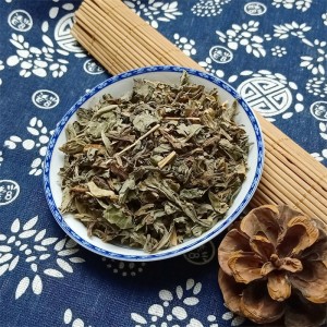 China OEM Moxa Therapy Supplier –  Bai Jiang Cao Crude Herbal Medicine Patrinia scabiosaefolia Herba  – Bestop