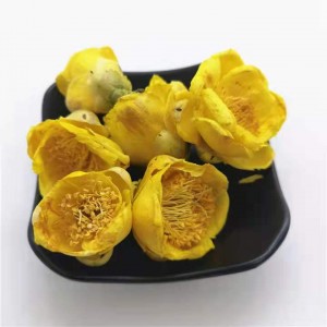 Jin Hua Cha manufacturer Natural Pure Flower Tea Golden Camellia Flower Camellia Chrysantha Tea