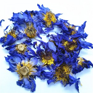 NATURAL NYMPHAEA CAERULEA FLOWER DRIED BLUE LOTUS FLOWER TEA
