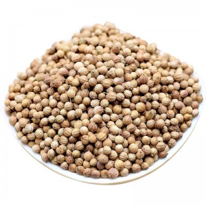 Xiang Cai Zi Wholesale Hot Sale Free Sample Natural Herbal Medicine Coriander Seed for Health