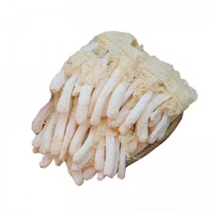 zhu sun bulk whole manufacturer dried Dictyophora mushroom white Bamboo Fungus