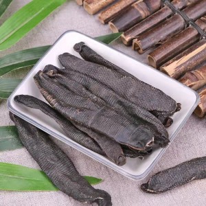 Shui Zhi traditional Chinese Medicine Leech  For Sale