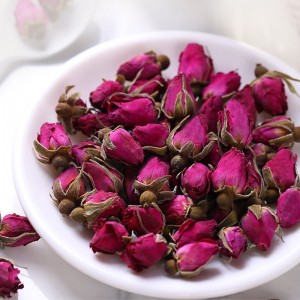 Flower Tea Rose Bud