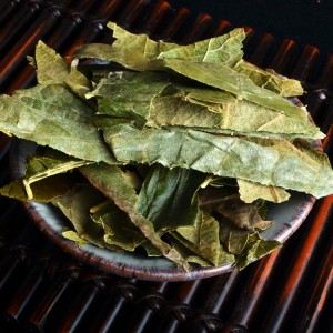 Traditional Chinese Medicine Loquat Leaf