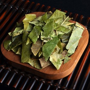 Pi Pa Ye Traditional Chinese Medicine Loquat Leaf