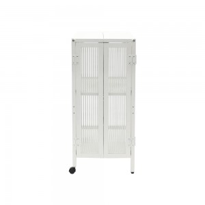 Factory Metal Galss 2 Door Cabinet Steel Storage Cabinet Sideboard Contemporary GO-FG-A