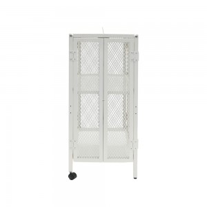 OEM Moderne Metal Cabinet Metal Mesh 2 Door Cabinet Fabrikant GO-FN-A