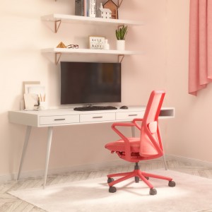 Female Exclusive Computer Chair