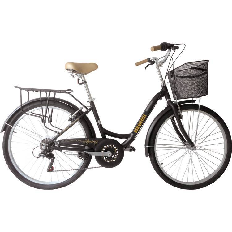 Aluminium 20" city bicycle, cheap street bike/rent cycling for adult