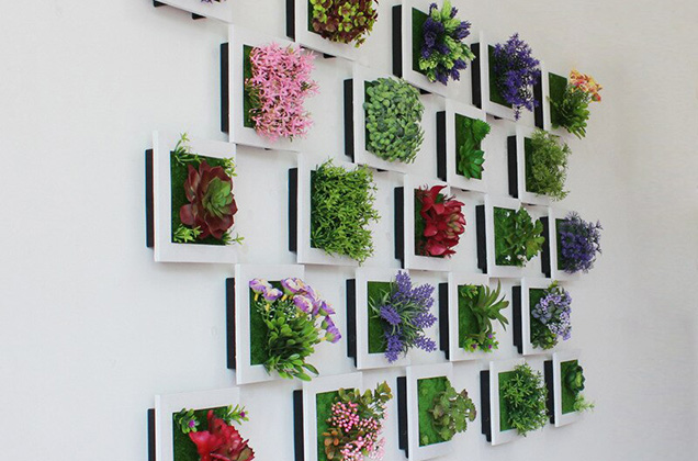 Decorazione da parete con piante finte in cornici