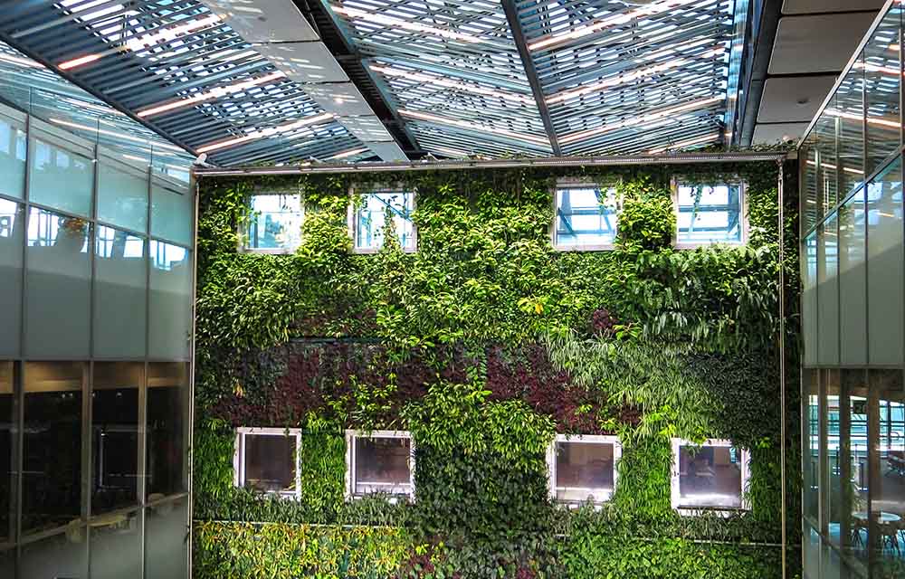 Sztuczna zielona ściana zmienia nasze życie i środowisko