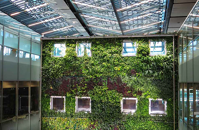Umělá zelená stěna mění náš život a životní prostředí