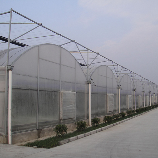 Thin Film Greenhouse